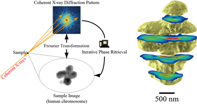 Schematic of X-ray Diffraction Microscopy